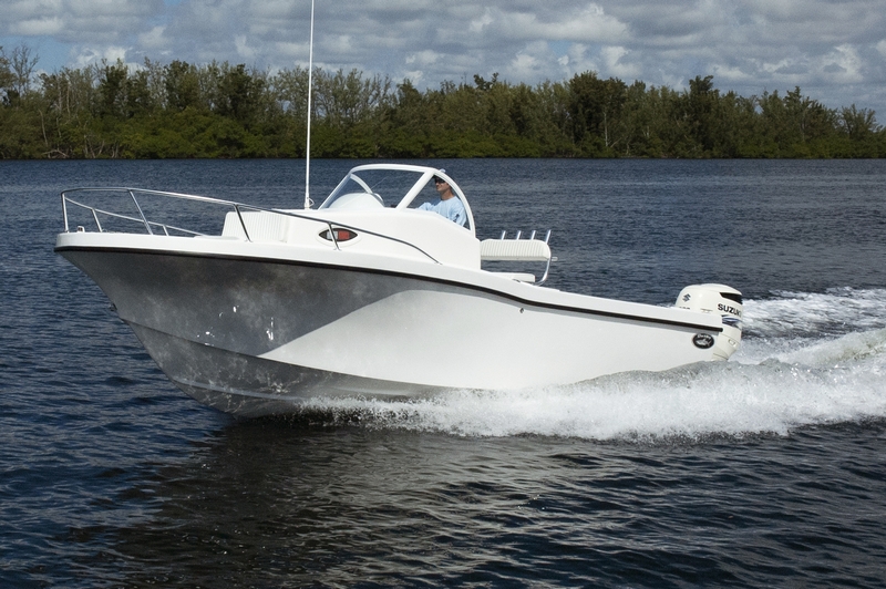 Dusky Marine 3