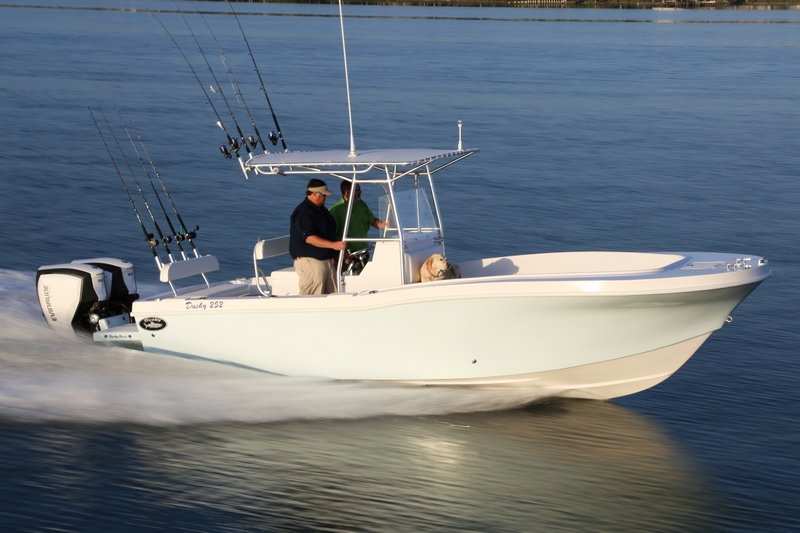 Dusky Marine 4